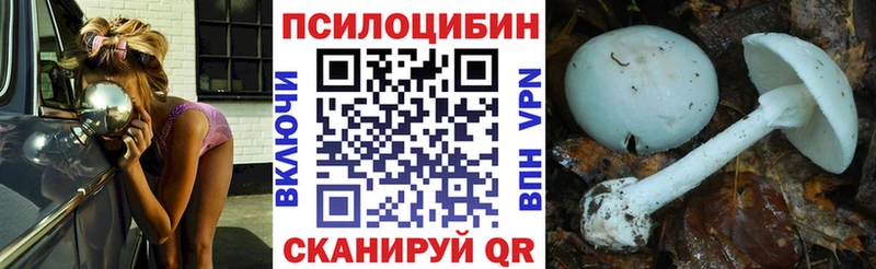 Купить закладки  Вяземский  Галлюциногенные грибы Psilocybine cubensis 